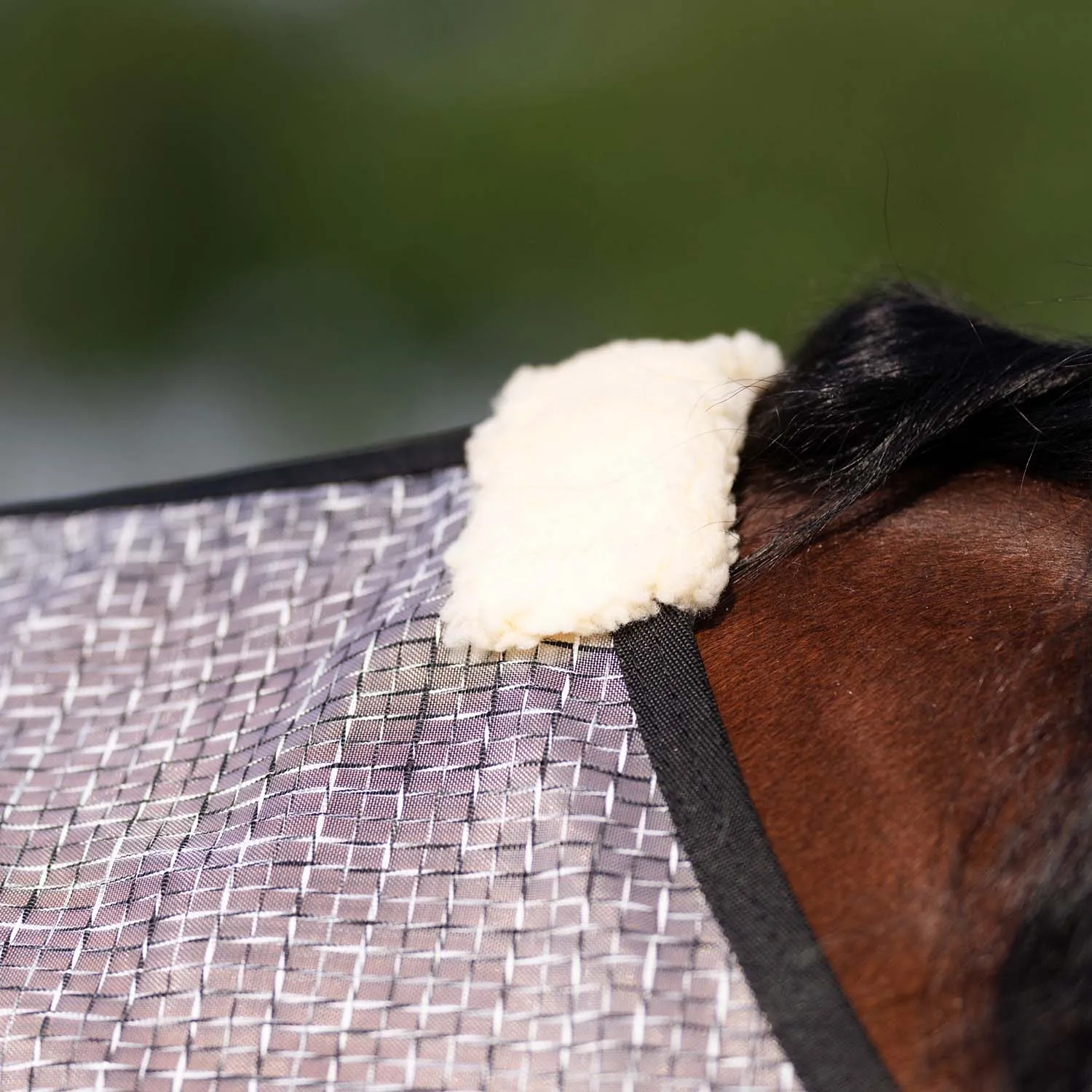 Professional's Choice Horse Fly Sheet